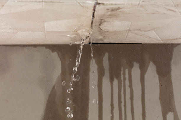 Professional Water Damage Repair technician working in Cleveland, TX